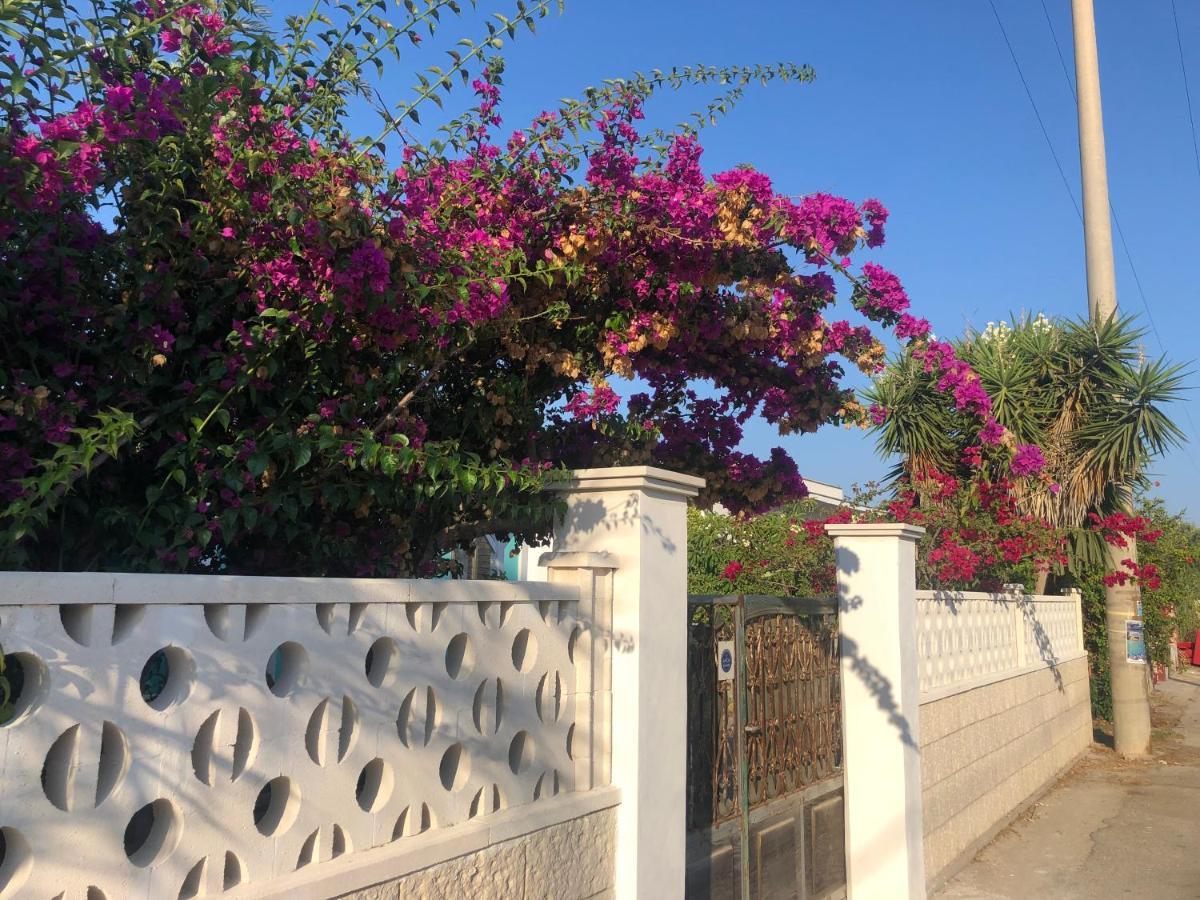 Amaris Mango Seafront Villa Гранелли Экстерьер фото